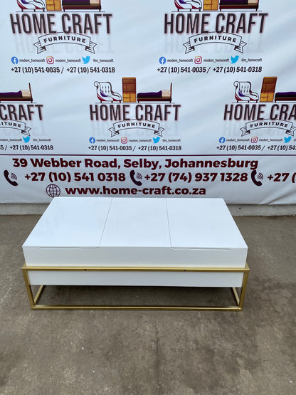Storage Coffee Table