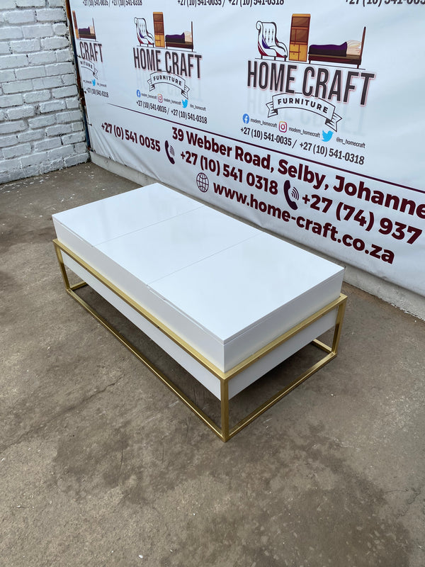 Storage Coffee Table