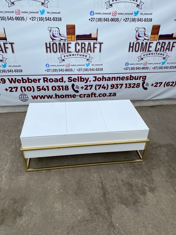 Storage Coffee Table