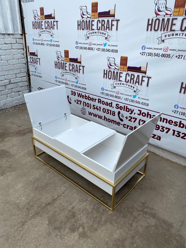 Storage Coffee Table