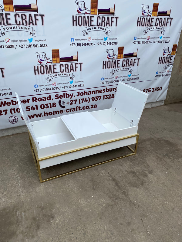 Storage Coffee Table